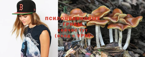 прущая мука Верхний Тагил