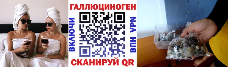 omg как зайти  Исилькуль  Галлюциногенные грибы мухоморы 